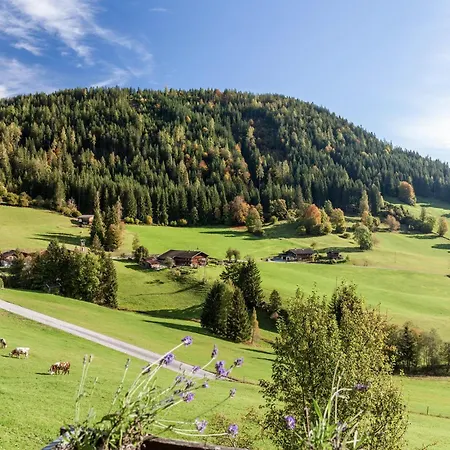 Zauberhuette Wildschoenau Apartmán